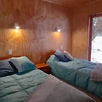 La Cabana Del Arbol