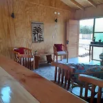 La Cabana Del Arbol